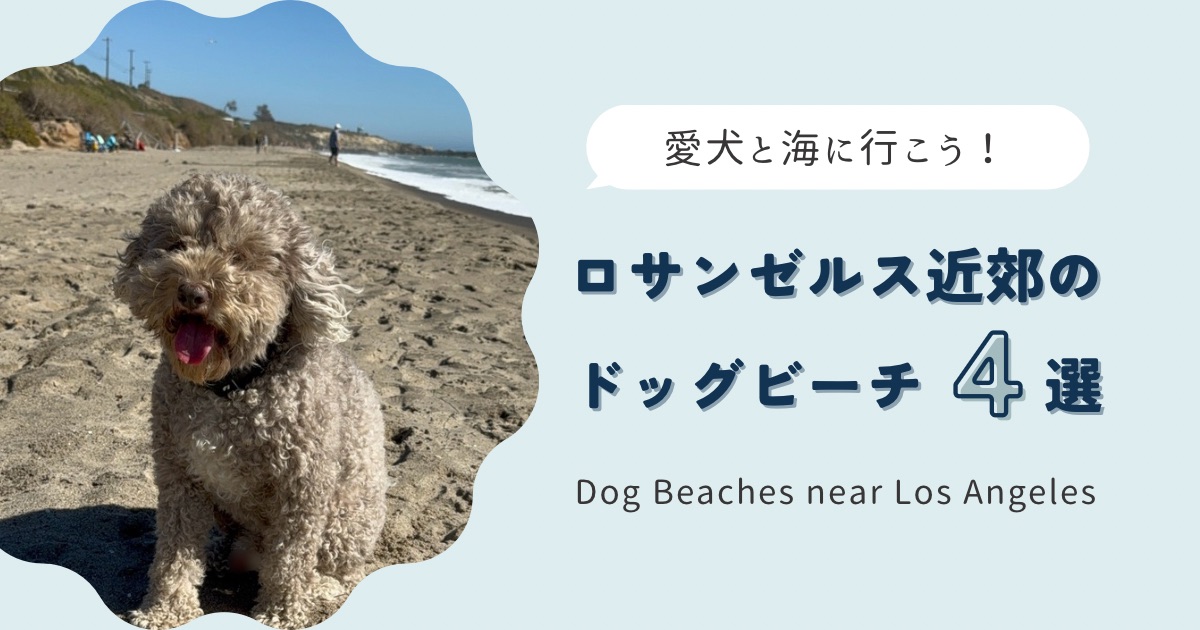 愛犬と海へ！ロサンゼルス近くのおすすめドッグフレンドリービーチ4選