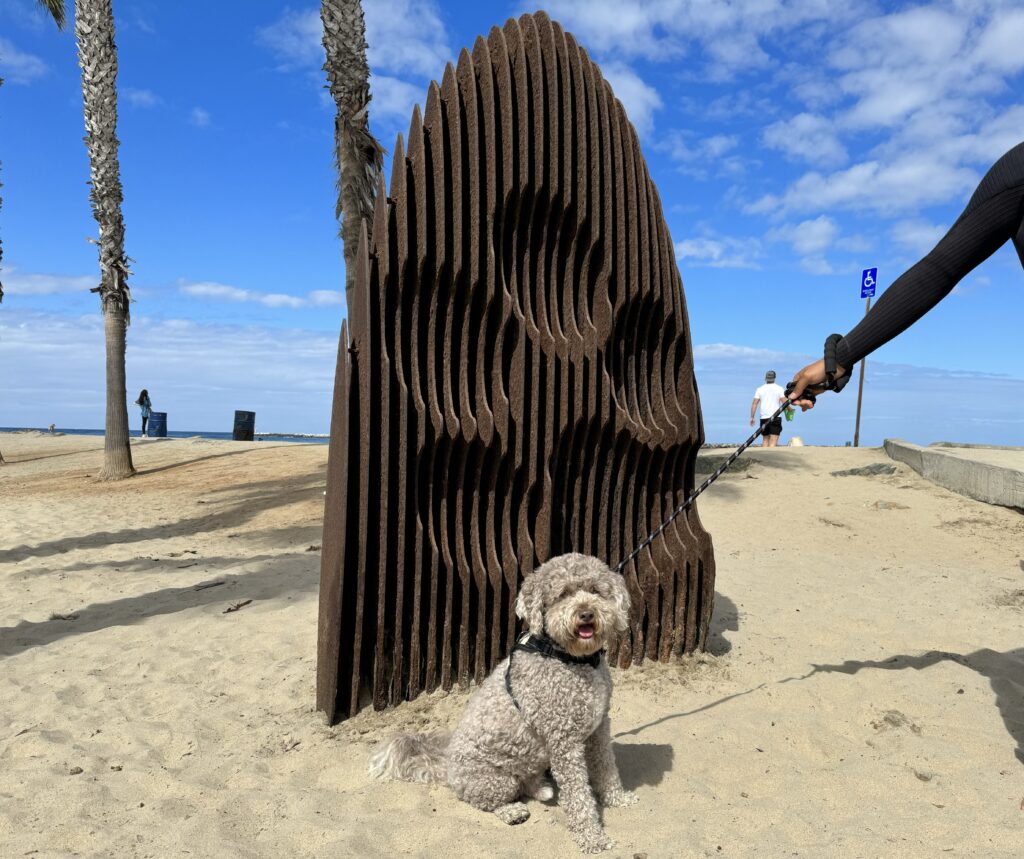 サンディエゴのドッグビーチ - Dog Beach