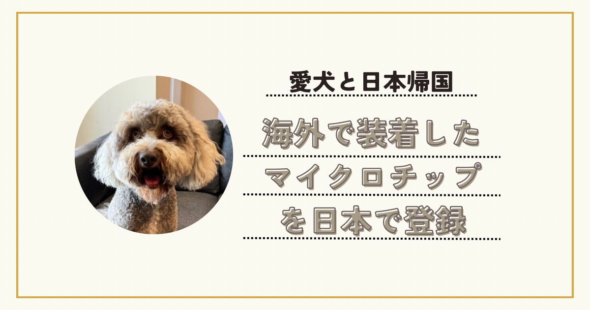 愛犬と日本帰国 海外で装着したマイクロチップを日本で登録する