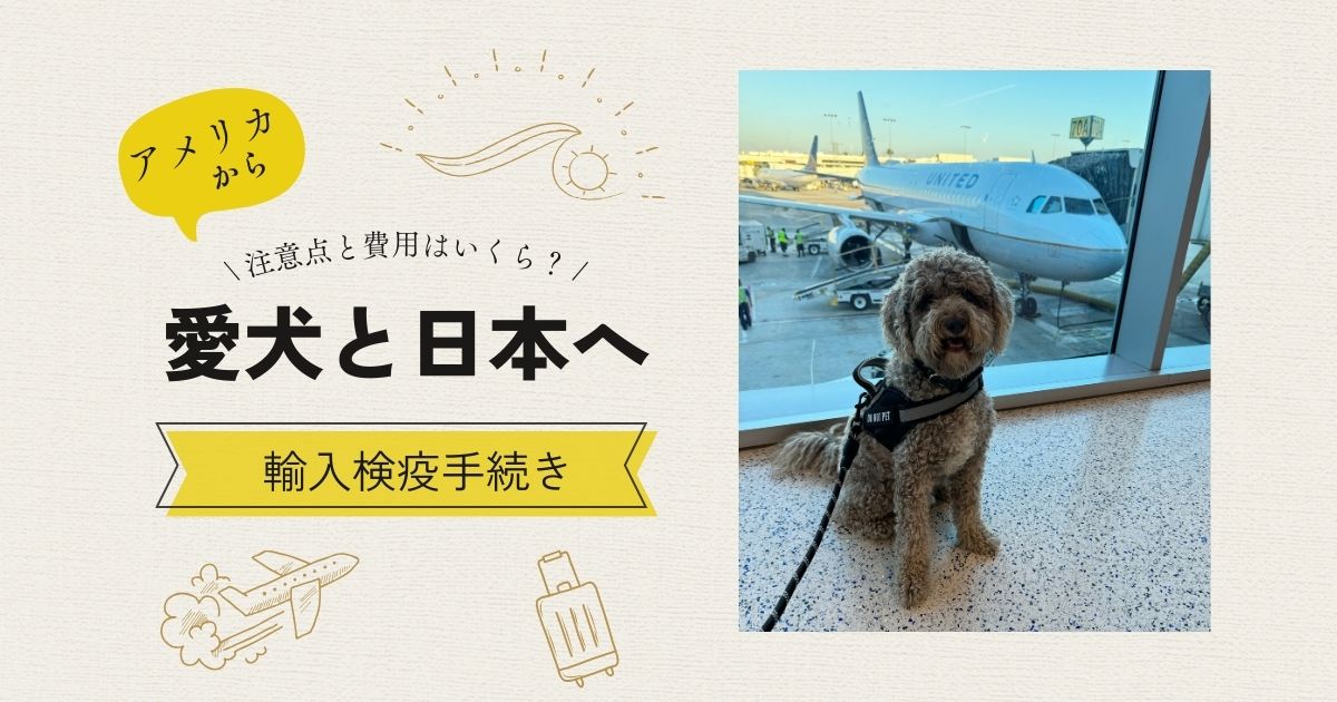 アメリカから日本に愛犬を連れて行く輸入検疫手続き【体験談】