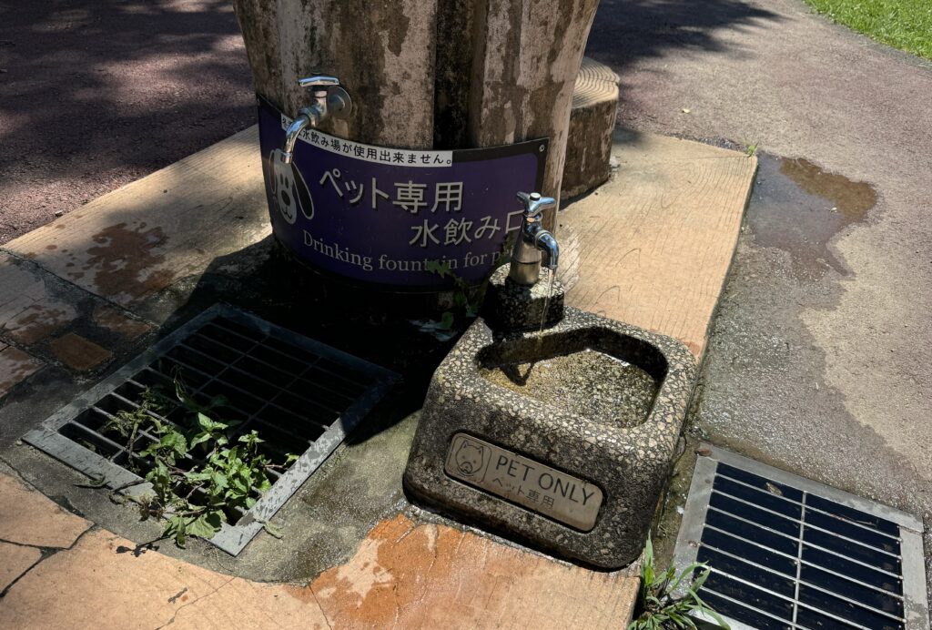 水飲み場