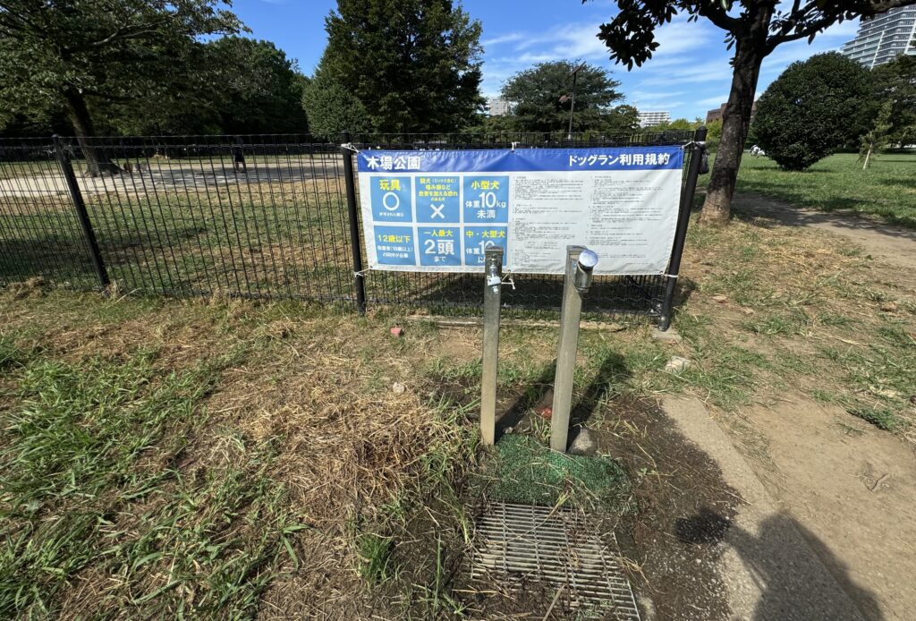 木場公園のドッグラン