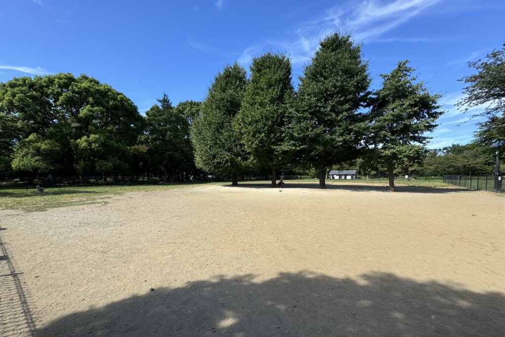 中・大型犬エリア