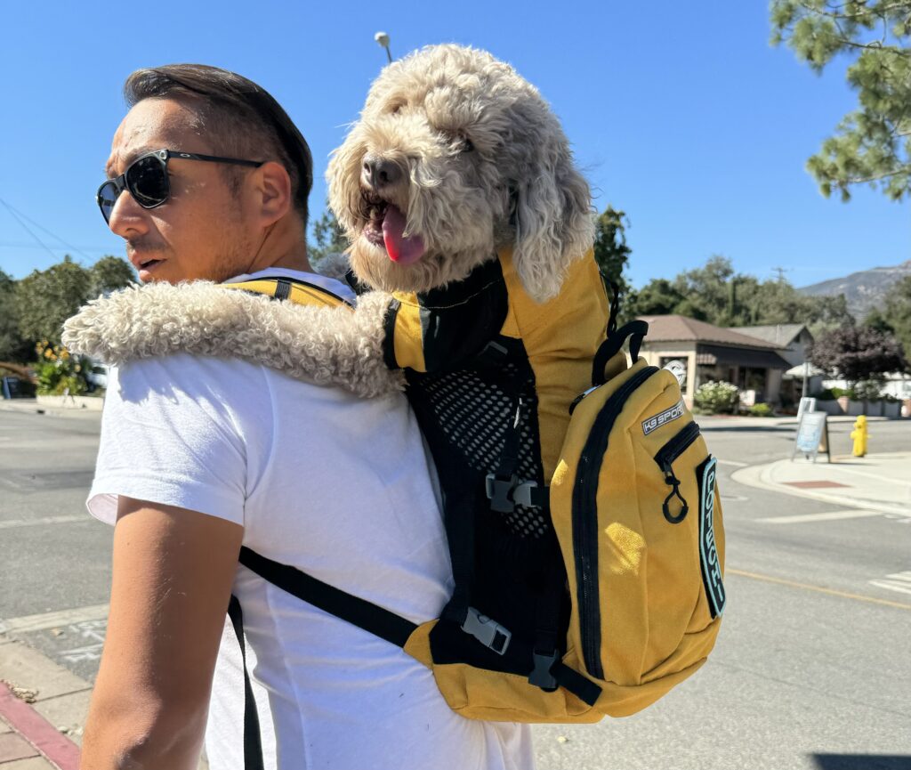 K9 SPORT SACK