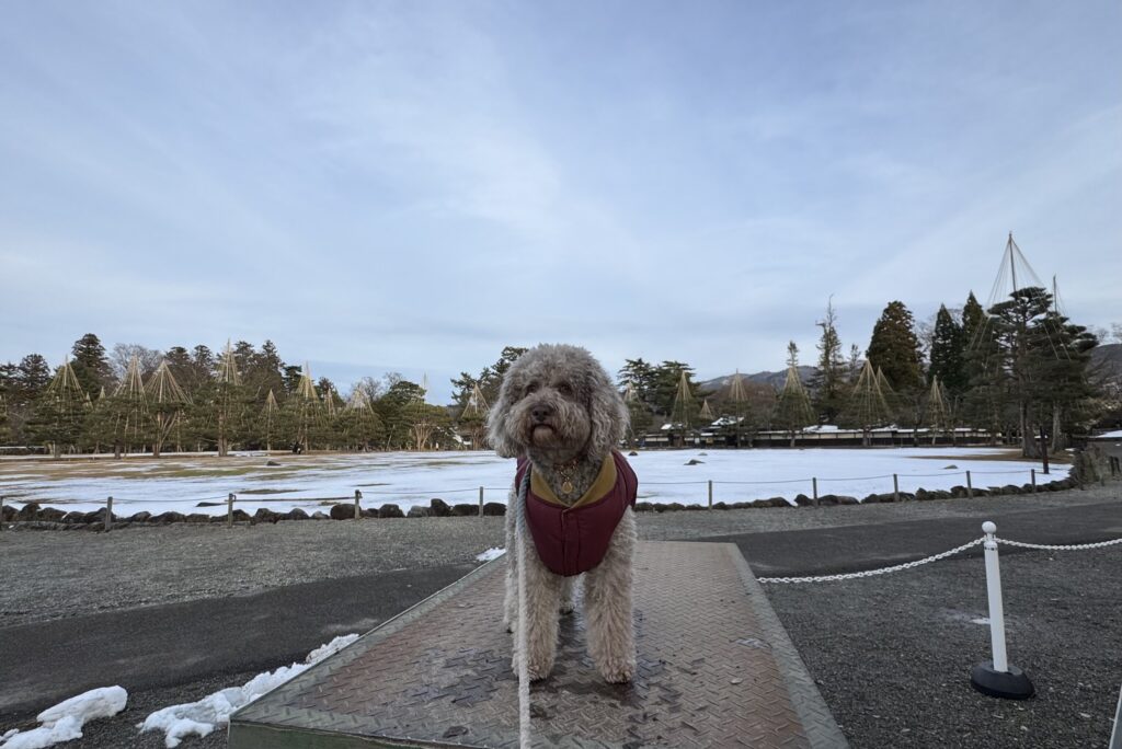 本丸跡前にある写真スポット