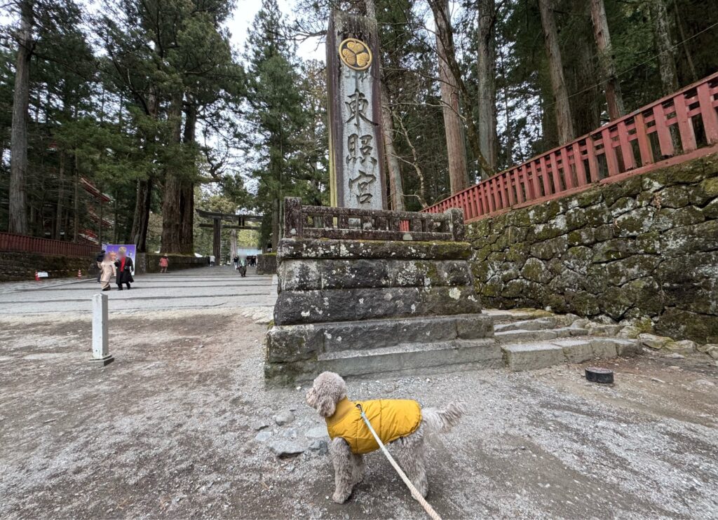 東照宮の表参道