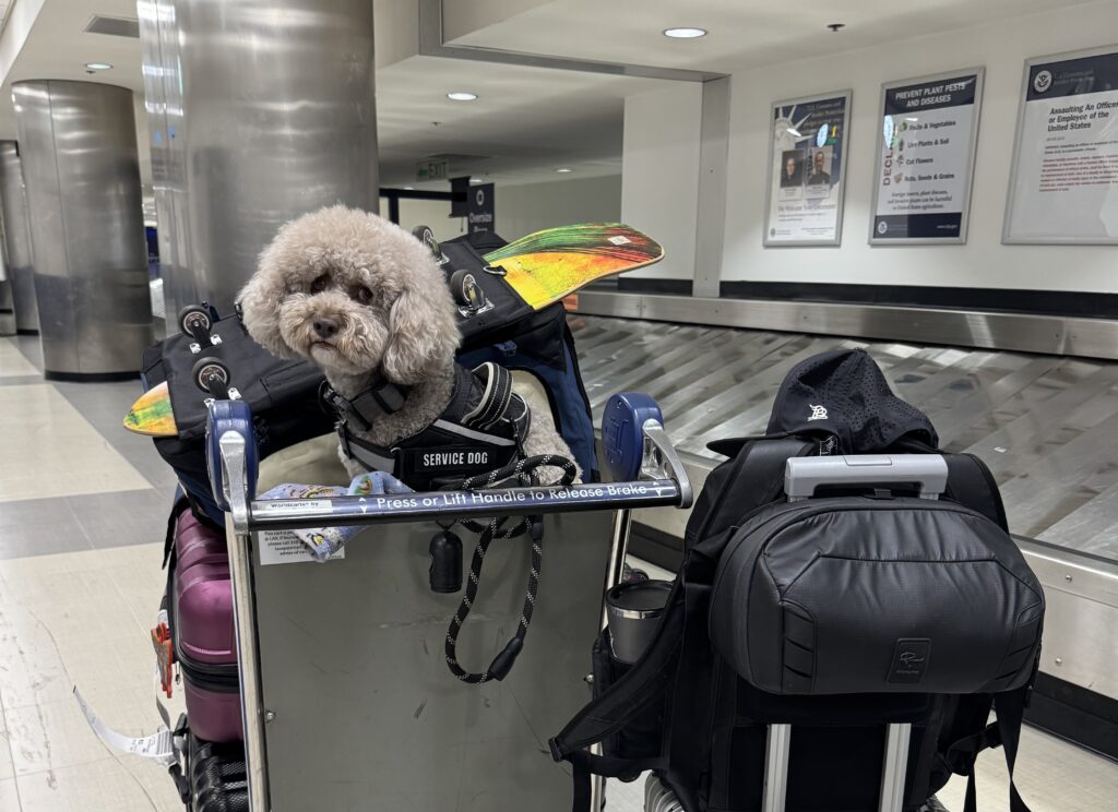 アメリカ到着