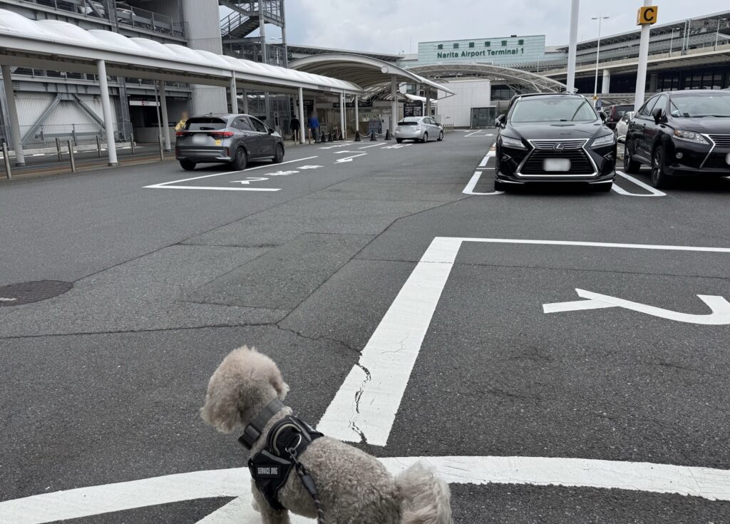 成田空港第1ターミナル