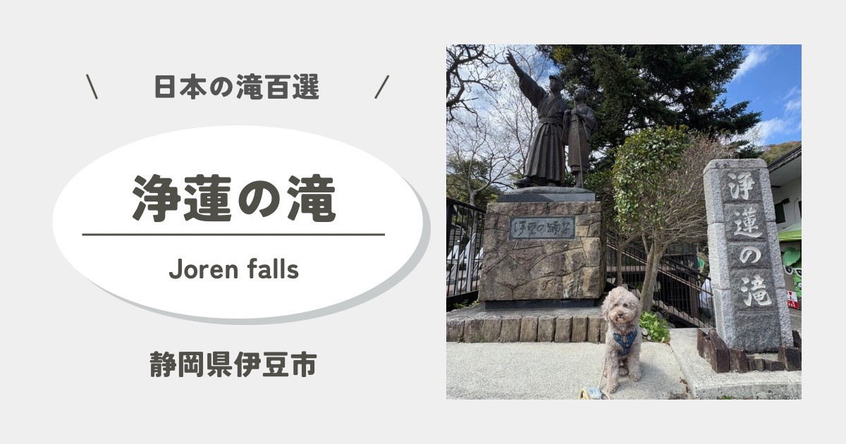 犬連れOK！伊豆・浄蓮の滝で自然満喫｜わさび田見学と本わさび購入