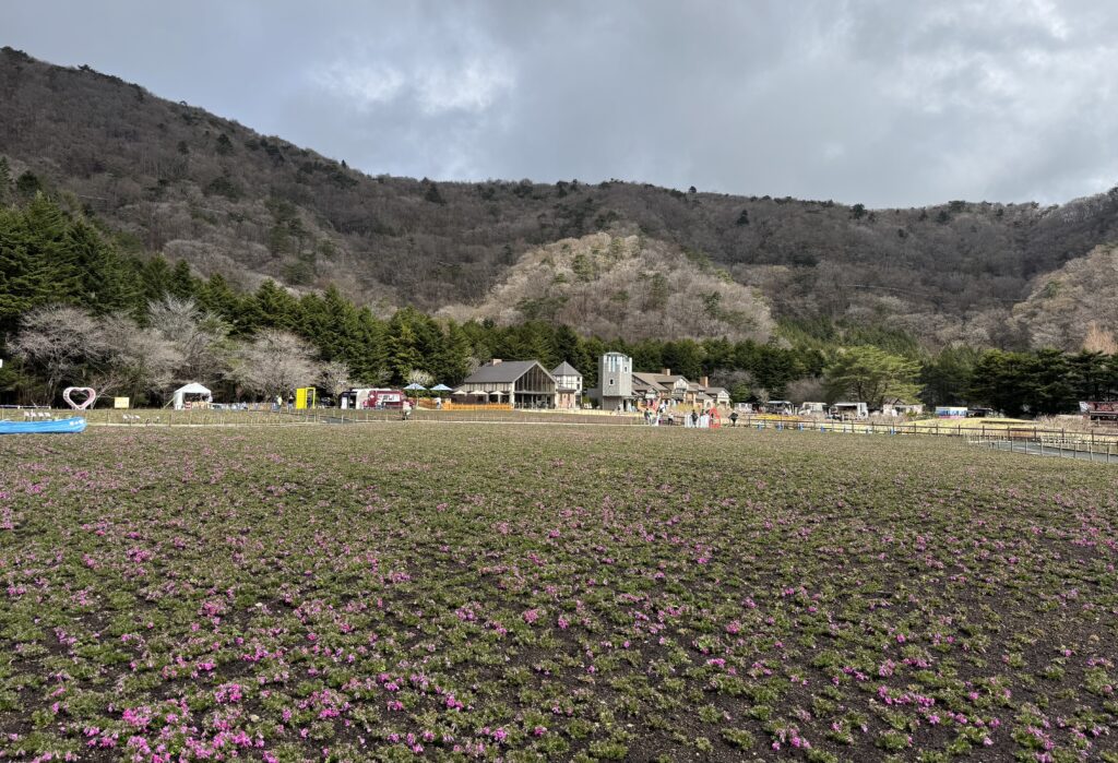 芝桜まつり会場