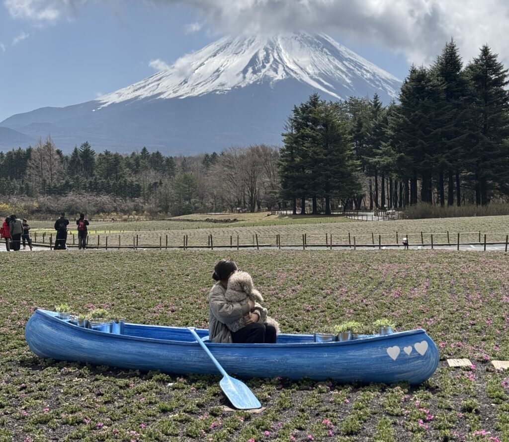 ピンクの海を旅する小舟