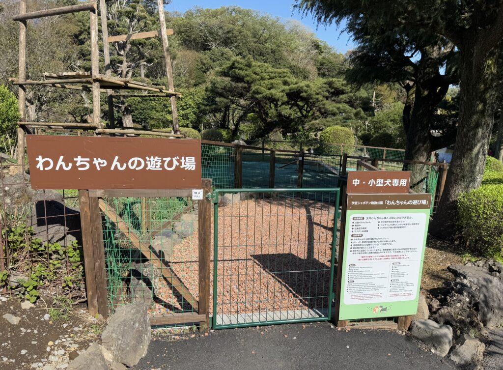 わんちゃんの遊び場