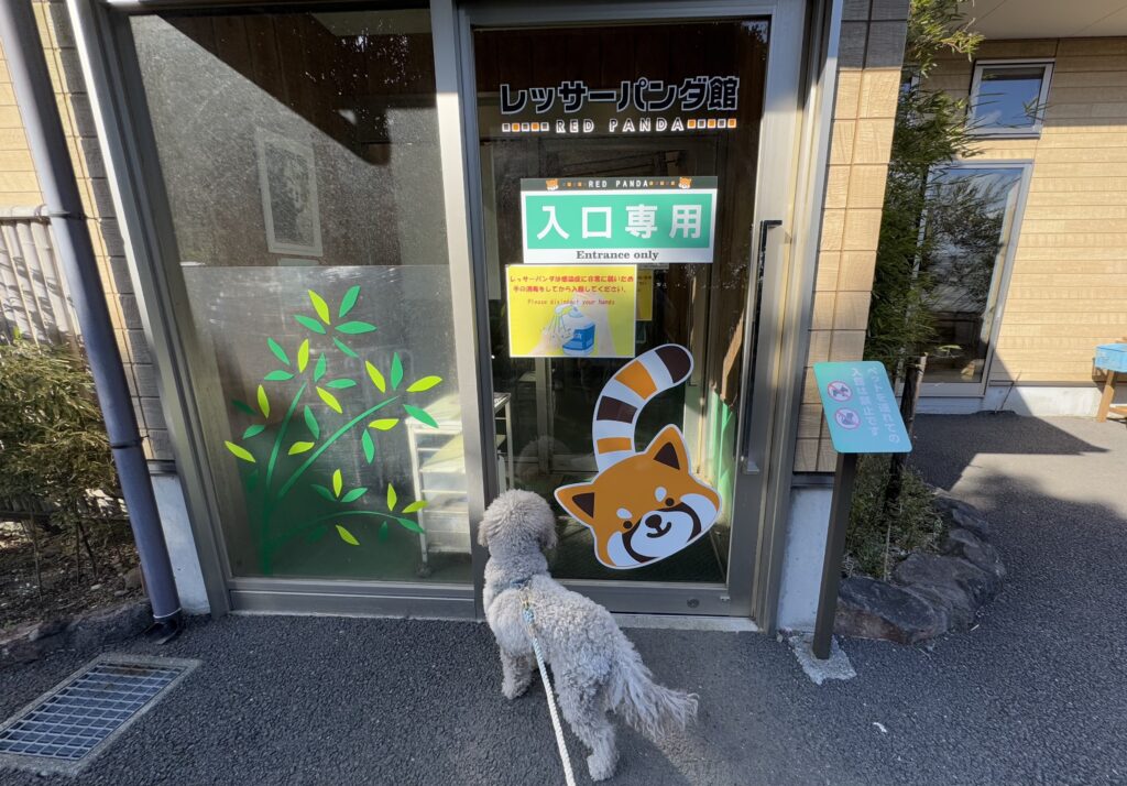 レッサーパンダ館