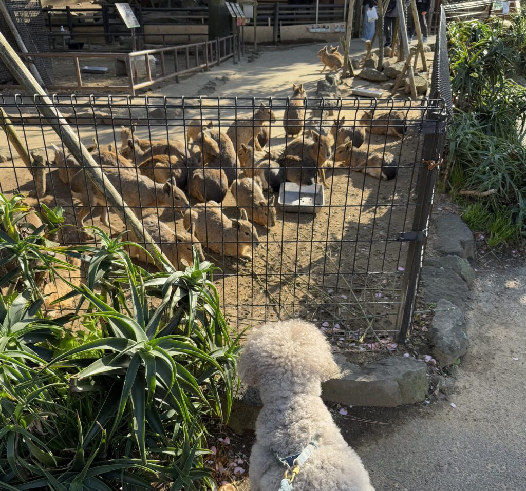 なかよし牧場