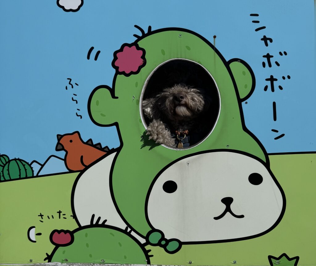 伊豆シャボテン動物公園