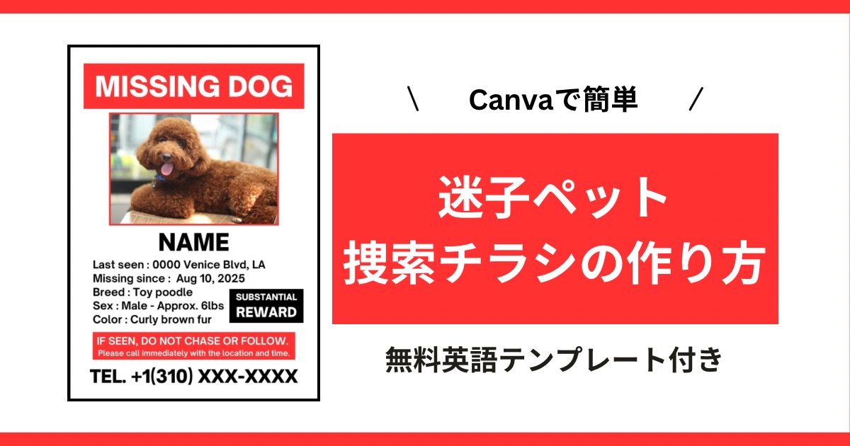 Canvaで迷子ペット捜索チラシを作る方法【英語テンプレート付】注意点