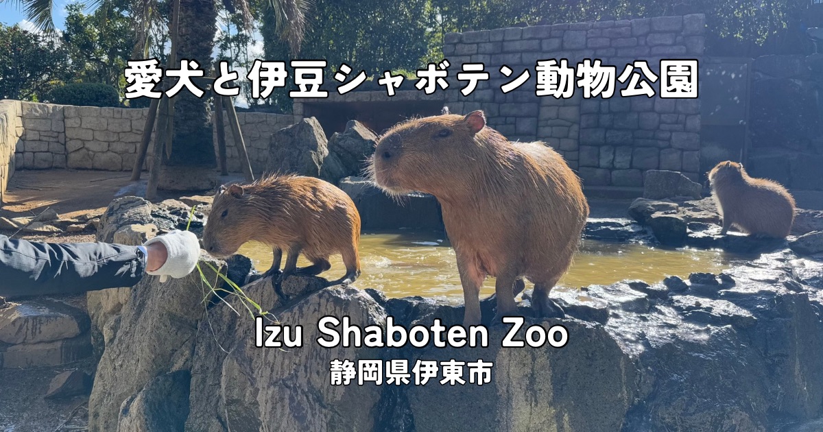 犬連れ旅行におすすめ！伊豆シャボテン動物公園の見どころ＆注意点