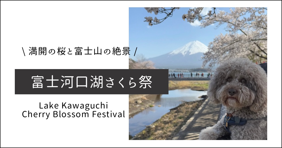 犬連れで行く富士・河口湖さくら祭｜満開の桜と富士山絶景を満喫する旅行記