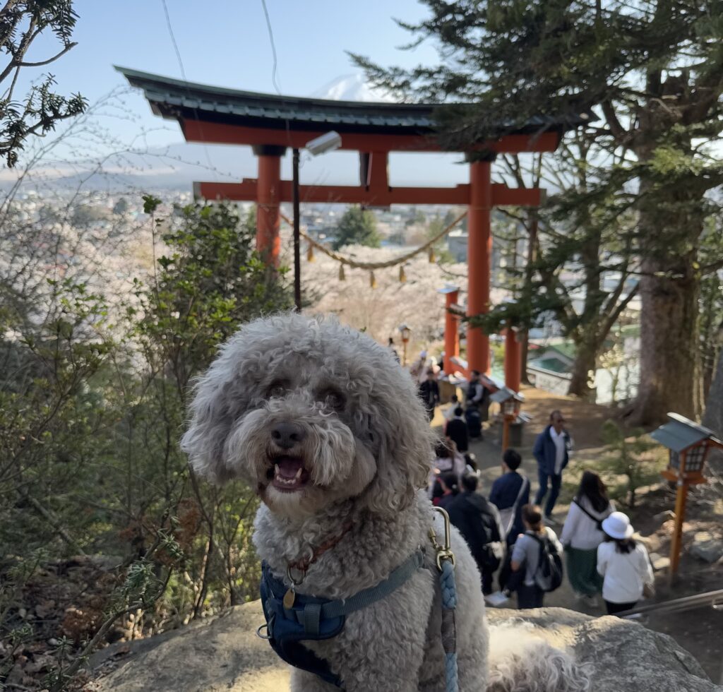 鳥居