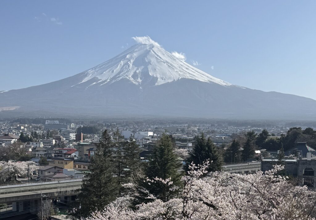 桜と富士山