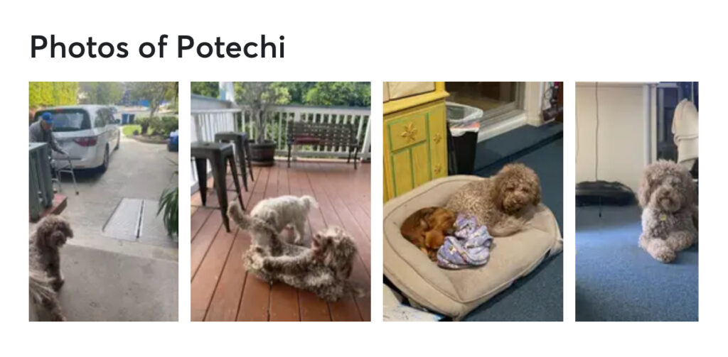 滞在中実際に送られてきた写真