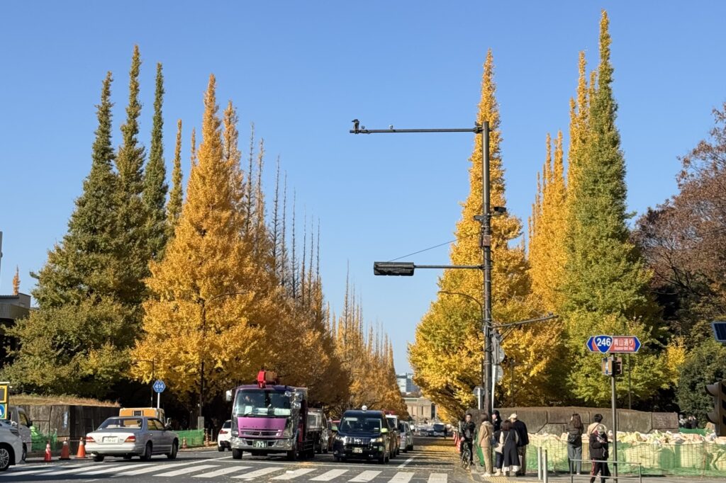 神宮外苑のイチョウ並木