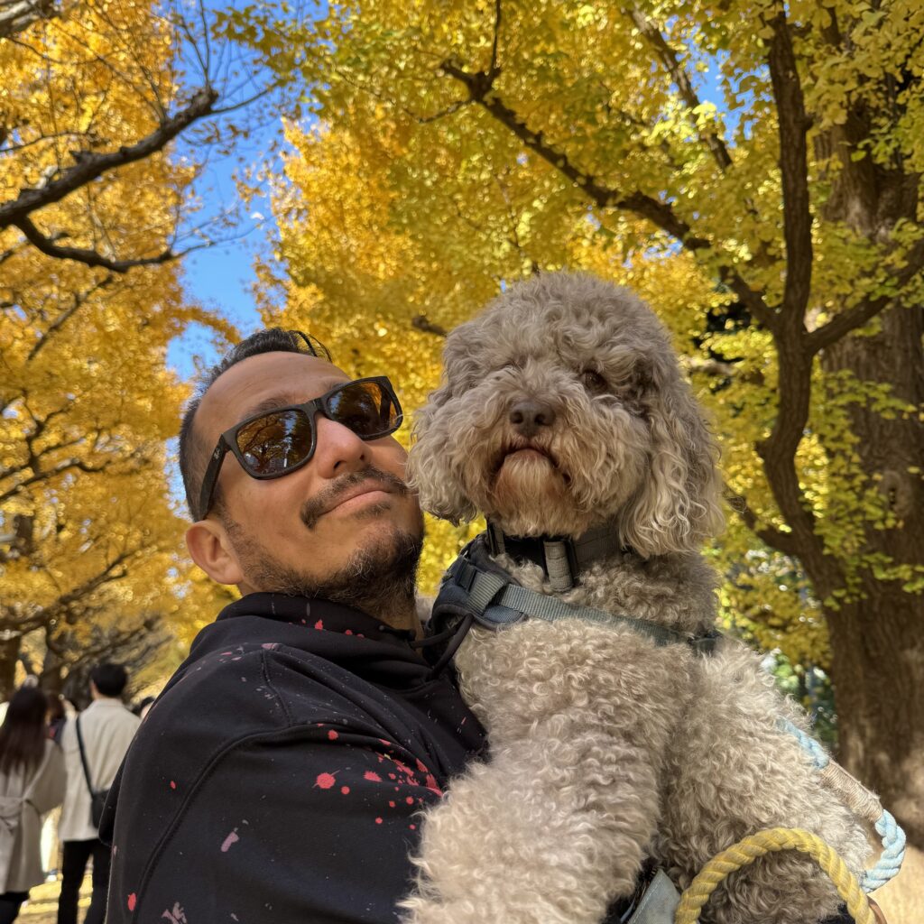 神宮外苑のイチョウ並木