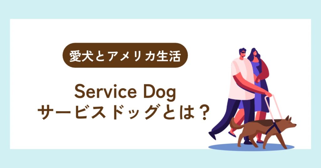 【愛犬とアメリカ生活】サービスドッグとは？種類・権利・注意点をわかりやすく解説