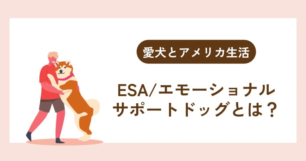 【愛犬とアメリカ生活】エモーショナルサポートドッグ（ESA）とは？取得方法やサービスドッグとの違いを解説